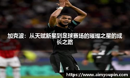 加克波：从天赋新星到足球赛场的璀璨之星的成长之路